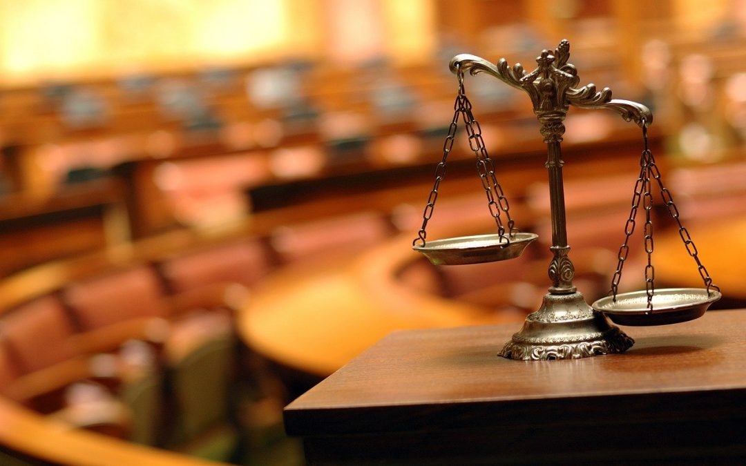 When Advocates Become Perpetrators: The Complex Reality Of Bullying